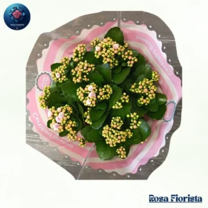 Elegant Rose Bouquet – Demo Product 8