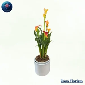 Shut Up bold luxury flower bouquet expressing love passion and emotion perfect romantic gift in Milano